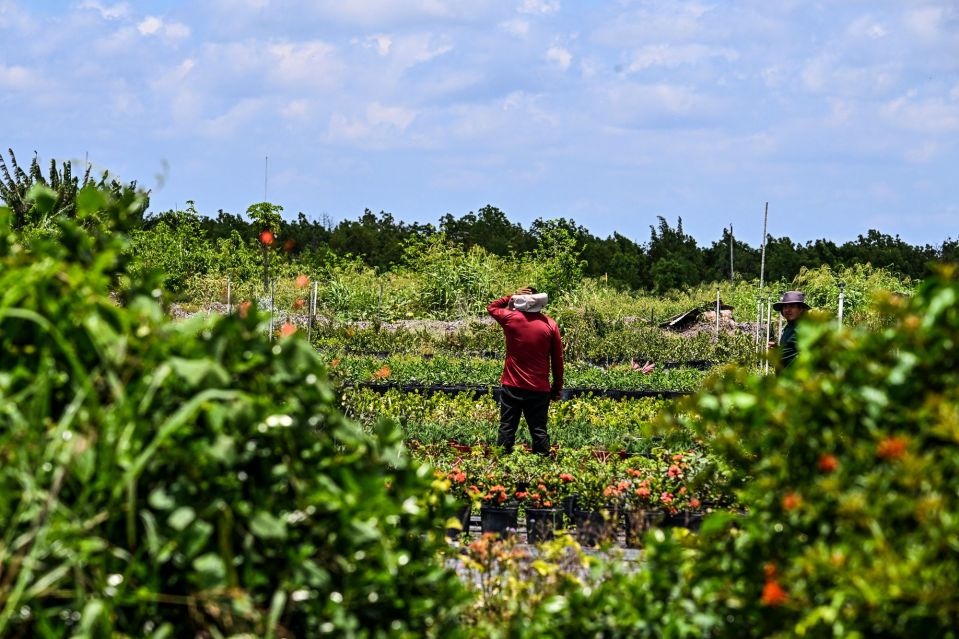 Florida enfrenta los primeros efectos de ley contra inmigrantes indocumentados