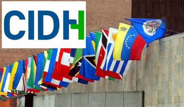Comisión Interamericana de DDHH emitió medidas cautelares a Mary Yuli González, concejal del municipio Libertador