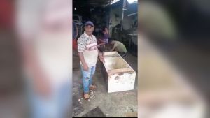La irónica respuesta a la alcaldía chavista de Güiria en Sucre tras negativa a ayudar con una urna (VIDEO)