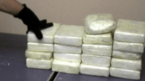 Decomisan en Italia 120 kilos de cocaína en un contenedor procedente de Panamá