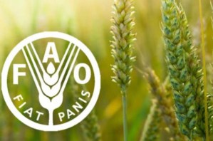 La FAO denuncia “costos ocultos” para salud y medio ambiente en el sistema agroalimentario