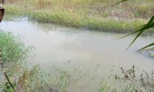 Inminente crecida del río Chama amenaza con inundar al sector El Dique en El Vigía