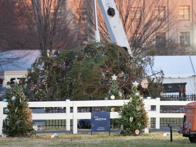 El árbol de Navidad de la Casa Blanca se desplomó tras un fuerte ventarrón (VIDEO)