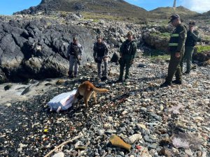 Fanb halló casi 35 kilos de marihuana en el archipiélago Los Roques (FOTOS)