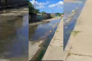 Residentes de Andrés Eloy Blanco en Cariaco nadan entre cloacas y ningún organismo responde