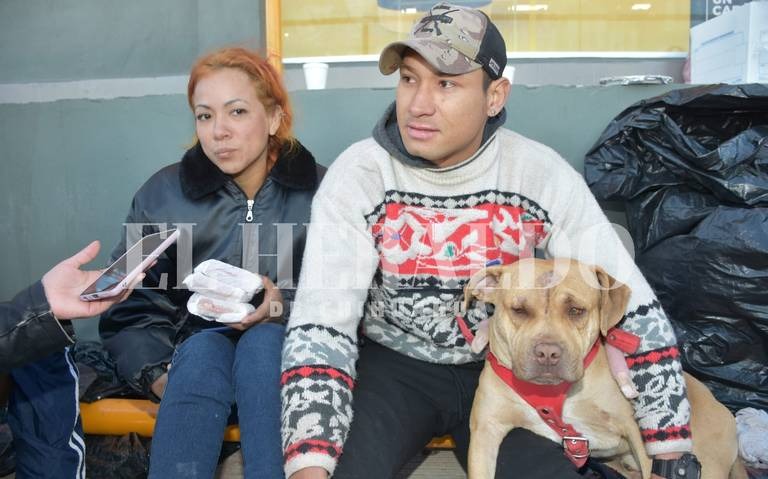 Sansón, el perrito que acompaña y protege a pareja venezolana en su camino hacia EEUU