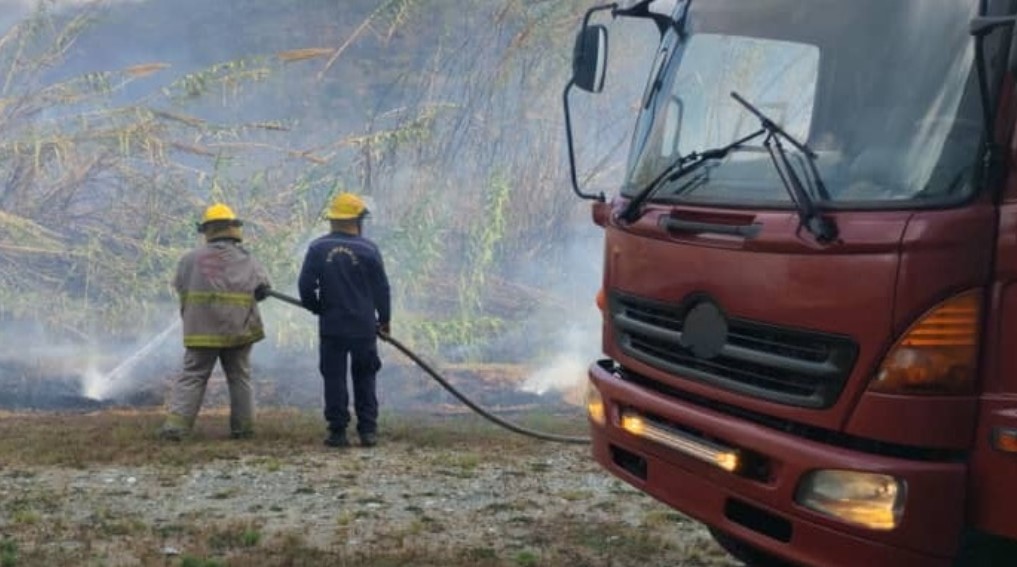About 450 wildfires have been reported in Venezuela’s Carabobo State so far this year