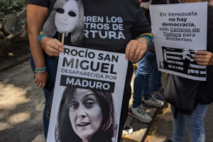 Varias ONG exigen garantías de los derechos constitucionales de Rocío San Miguel