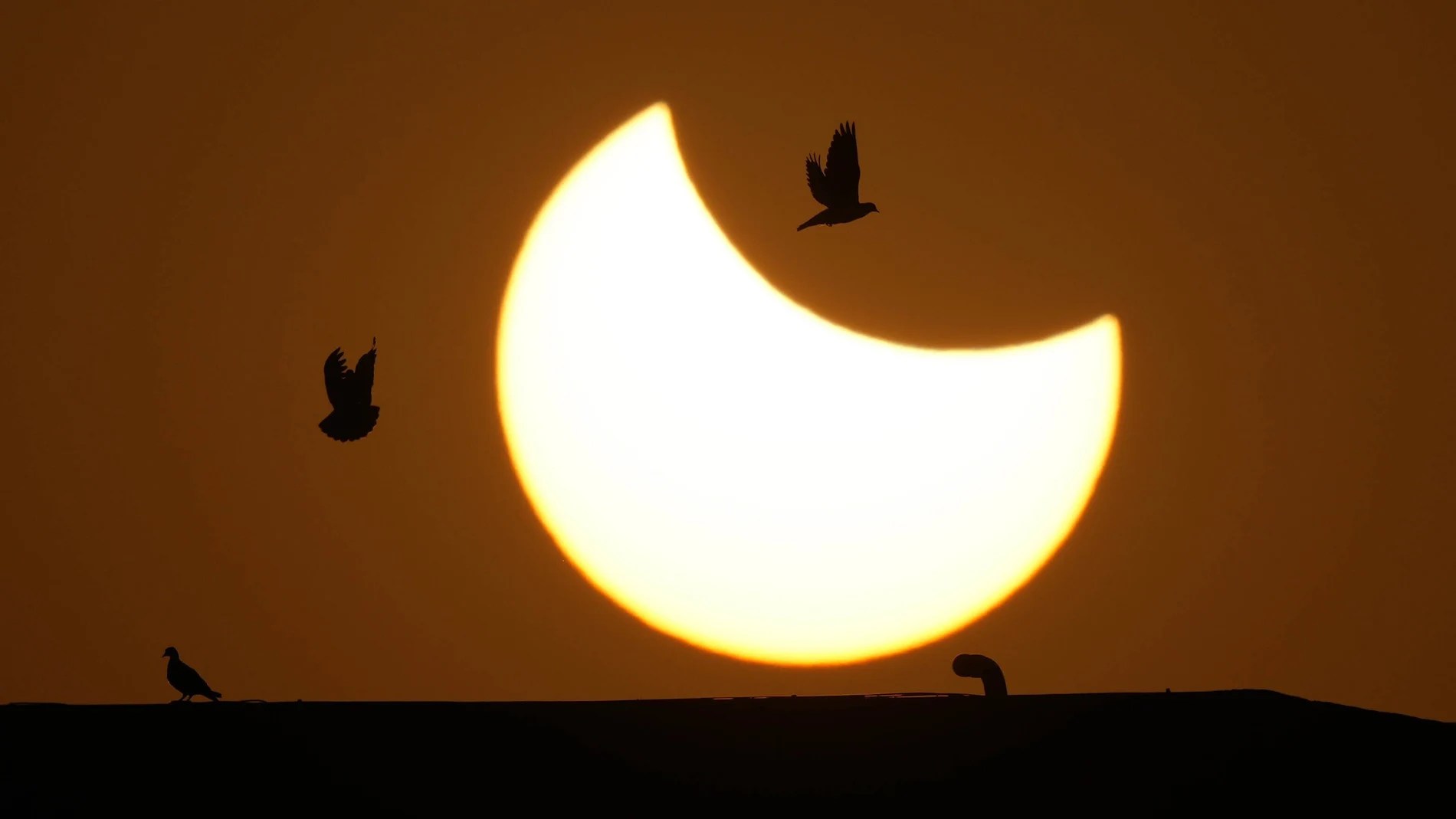 ¿Cuándo y dónde se podrá ver el próximo eclipse solar?
