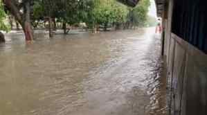 Lluvias en Barinas: En el sector Juan Pablo II el agua llegó a las puertas de las casas