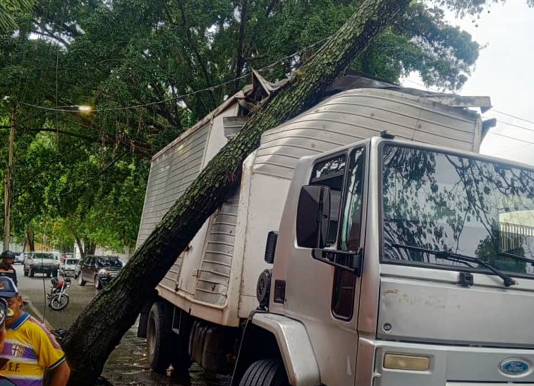 Árbol cayó sobre vehículo de carga tras fuertes lluvias en Caracas este #31May (Fotos)