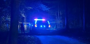 Horror en EEUU: Hallan a tres niños hispanos asesinados en un parque de Georgia