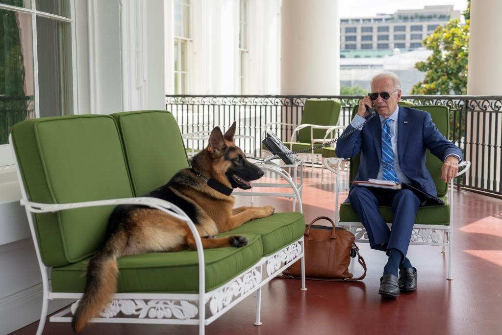 Biden habría presenciado varios ataques de su perro al personal del Servicio Secreto