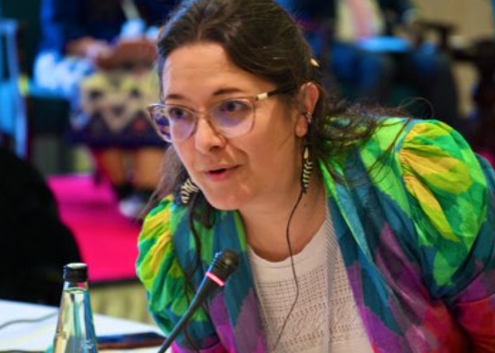Relatora Especial de la ONU mostró preocupación por clima preelectoral en Venezuela