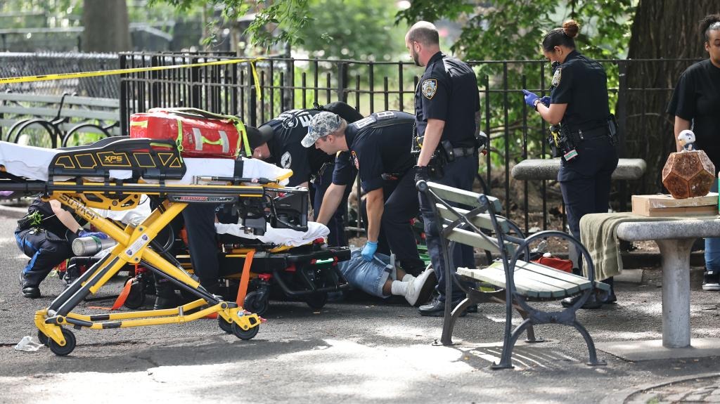 Ataque a plena luz del día en parque de Nueva York: Dos hombres fueron baleados y uno de ellos murió